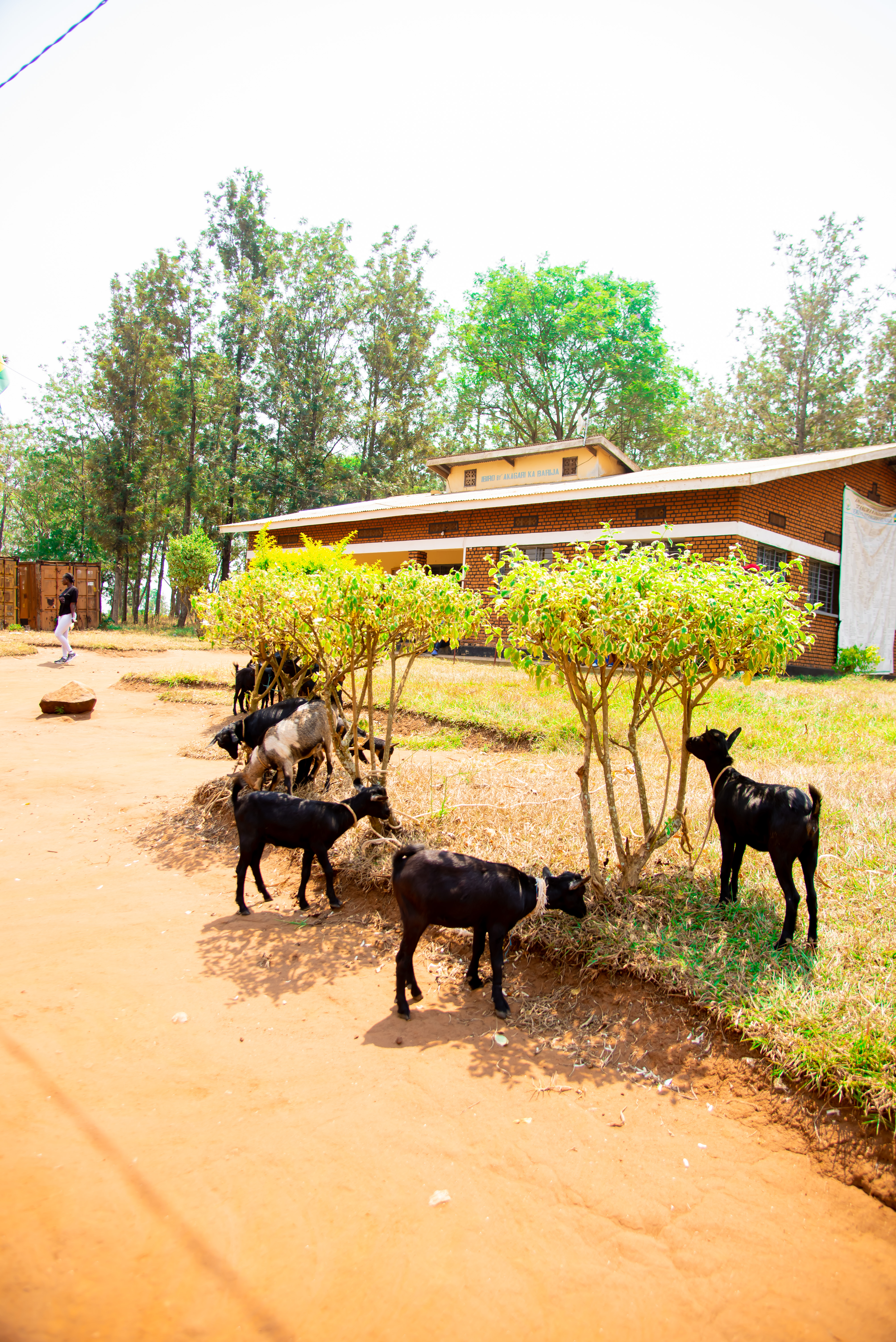 BORA Foundation community work